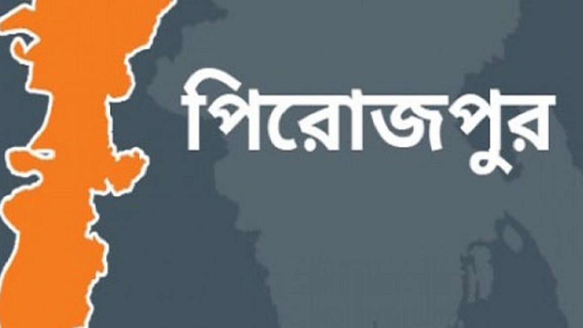 পিরোজপুরে চুরি ও ধর্ষণের অভিযোগে যুবক গ্রেপ্তার