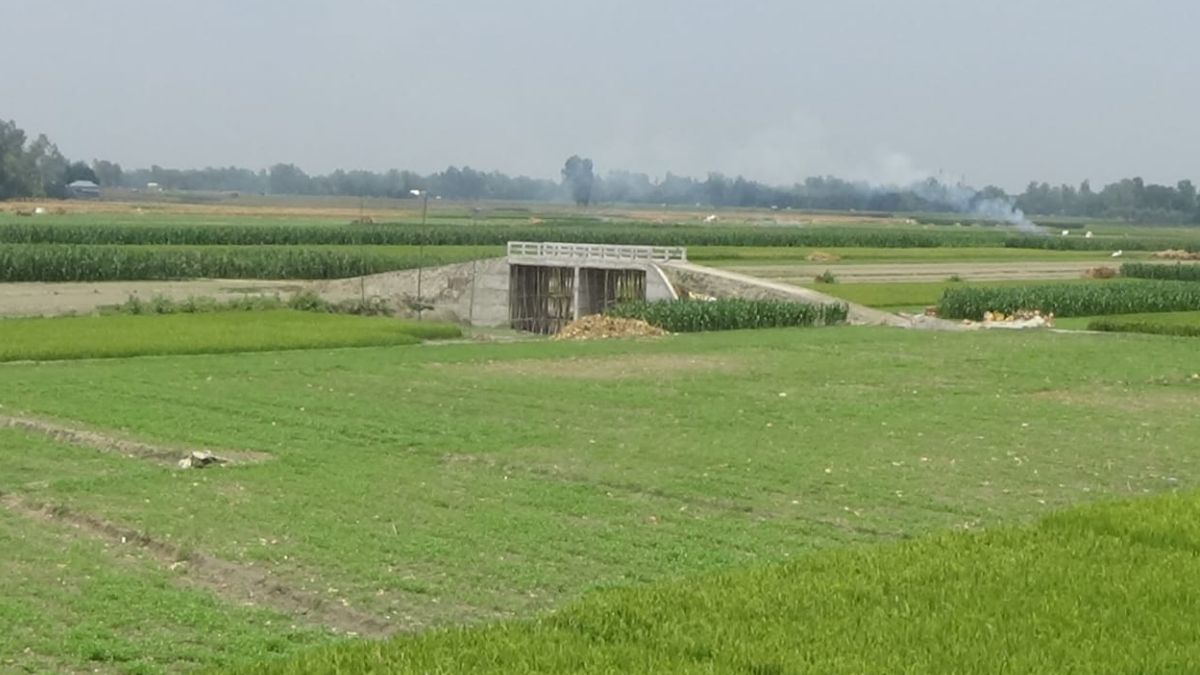 জামালপুরের সরিষাবাড়ী উপজেলার চর আদ্রা গ্রামে রাস্তা ছাড়াই নির্মিত হয়েছে সেতু। ছবি- রূপালী বাংলাদেশ