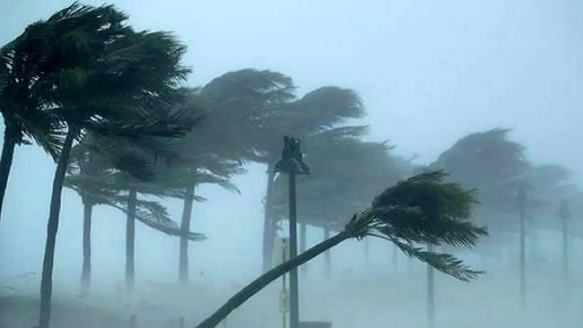 ফাইল ছবি। সংগৃহীত