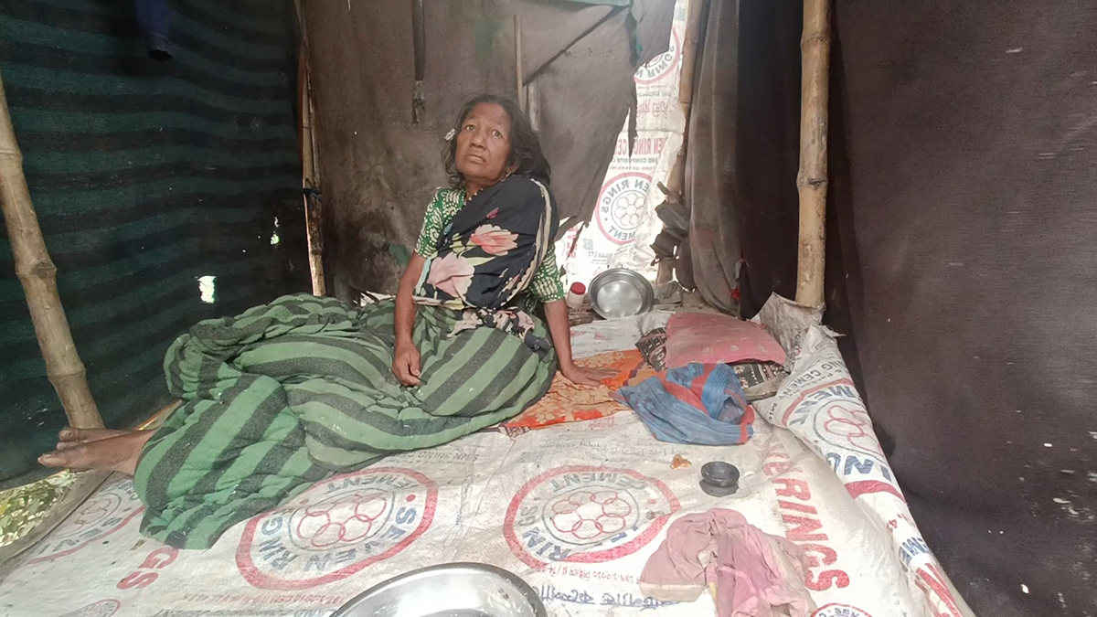 বৃদ্ধা জোসনার ঠাঁই এখন কাগজের ঝুপড়ি ঘরে