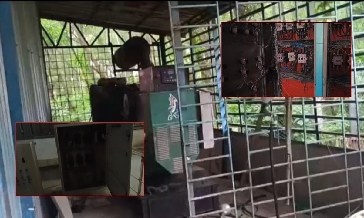 গাজিপুরের কালিয়াকৈরে সোহাগ এগ্রো লিমিটেড কারখানা। ছবি- রূপালী বাংলাদেশ