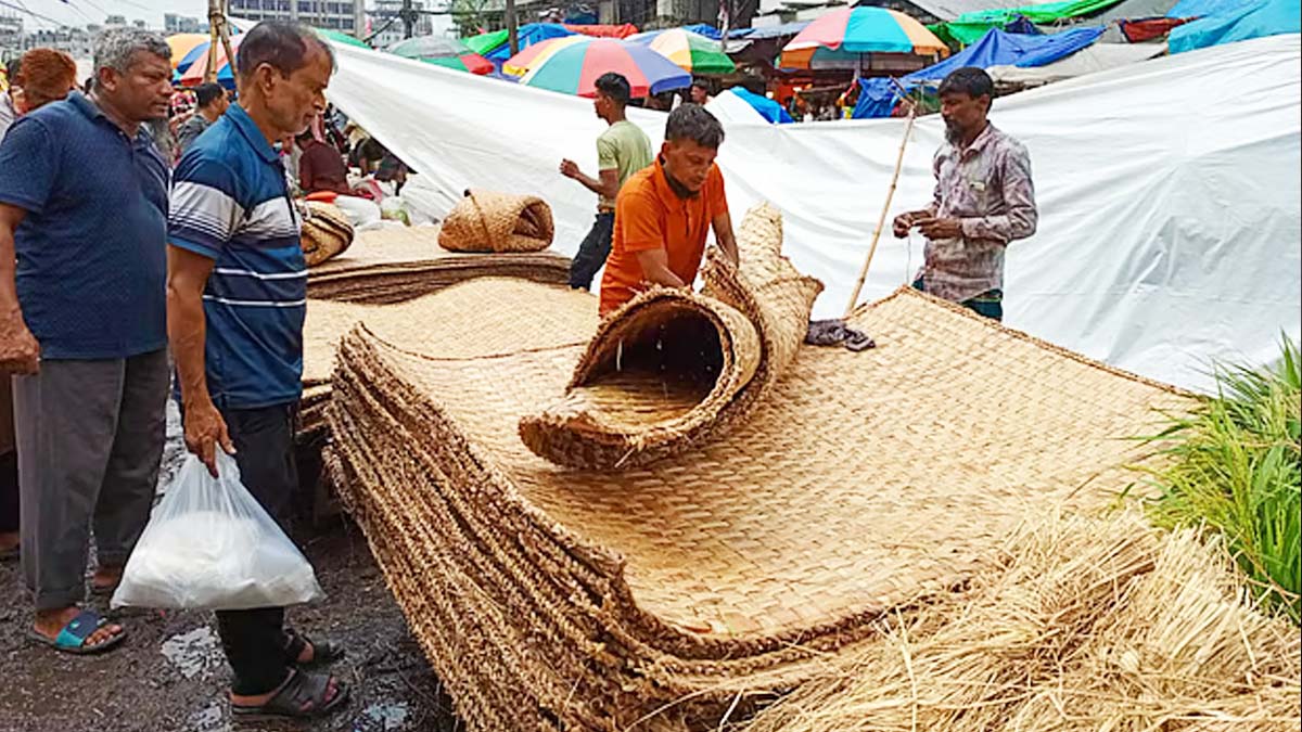 কারওয়ান বাজারে হোগলা বিক্রি করছেন একজন মৌসুমী বিক্রেতা ।         ছবি- সংগৃহীত