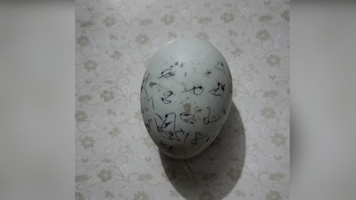 একটি ডিমের দাম ২২ হাজার টাকা
