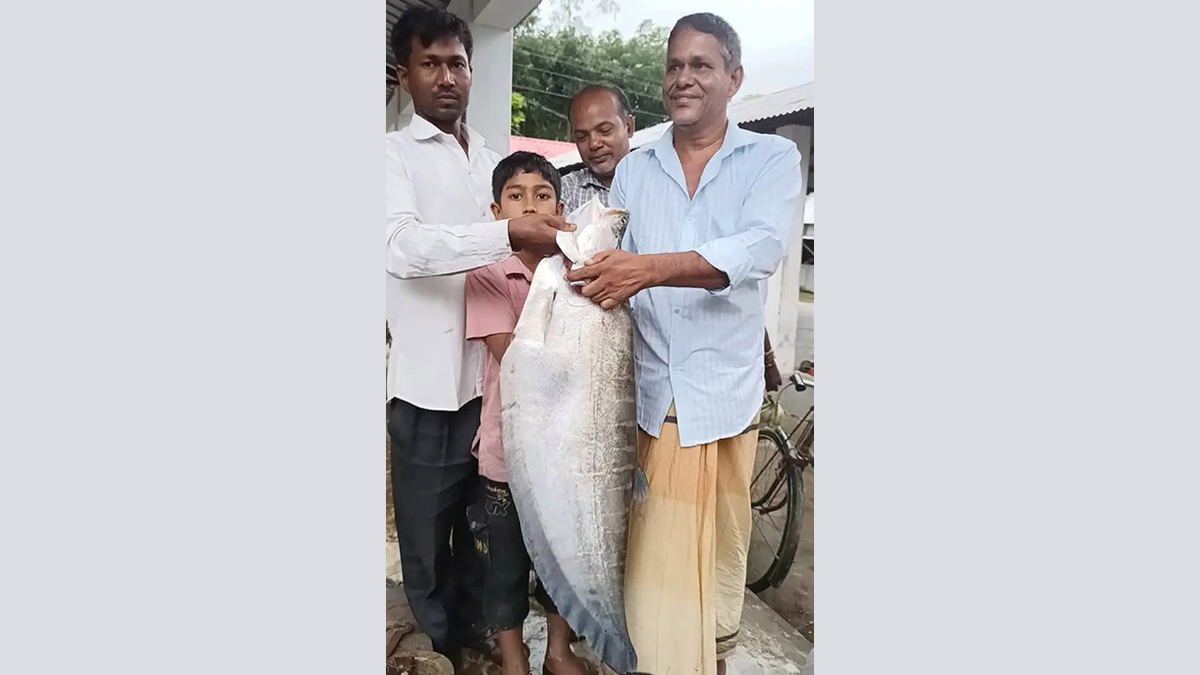 বড়শিতে ধরা পড়ল সাত কেজির চিতল