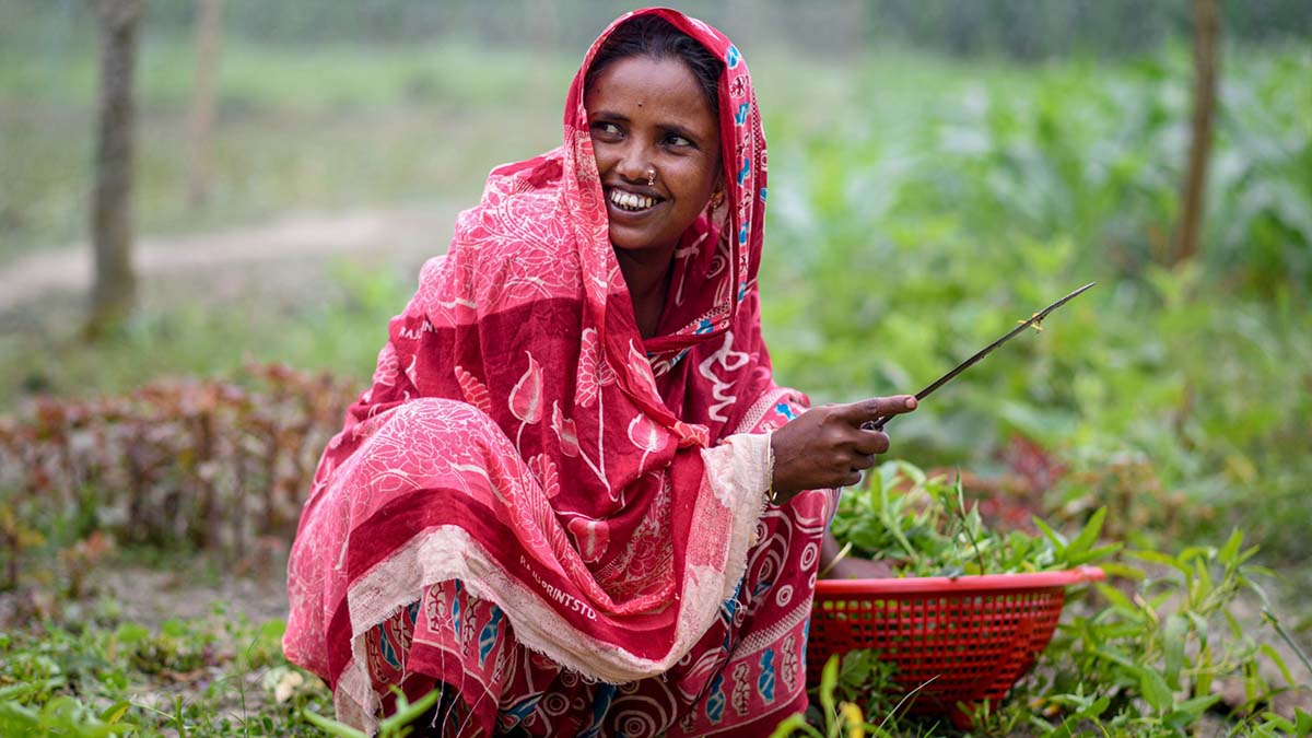 এ সময়ের কৃষি ও কৃষক