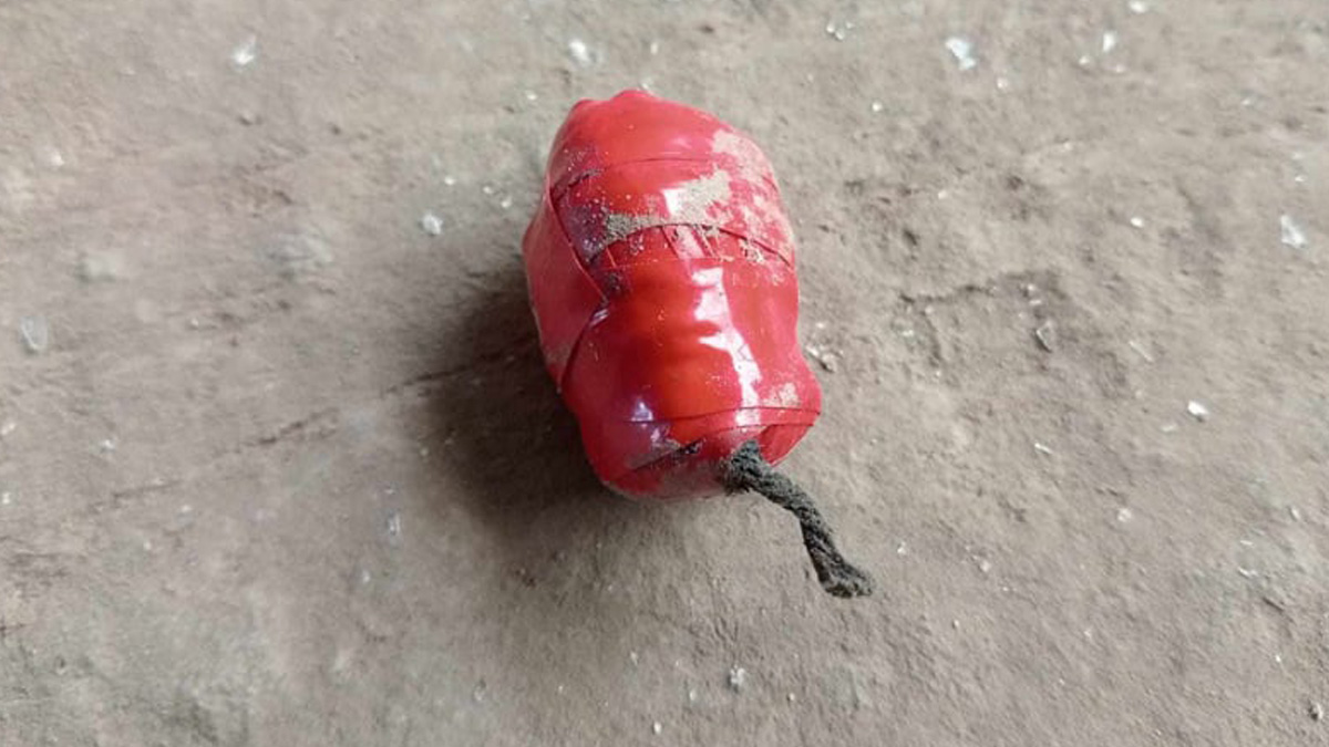 ককটেল। ছবি- রূপালী বাংলাদেশ