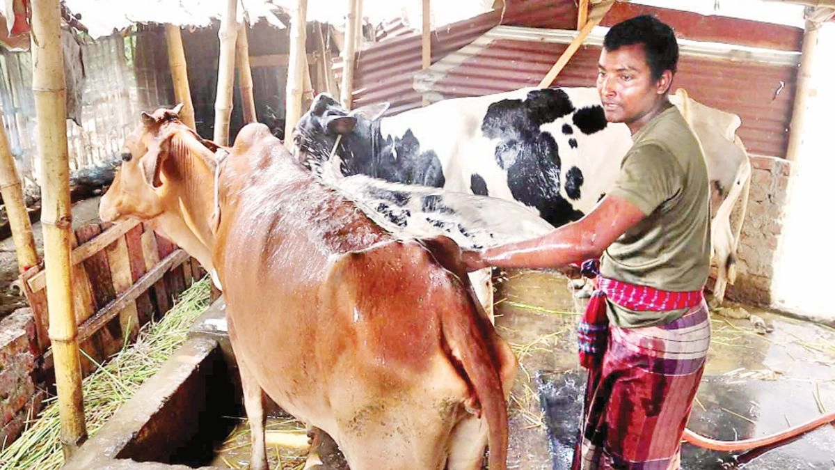 টিউশনির টাকায় লাখ টাকার খামার