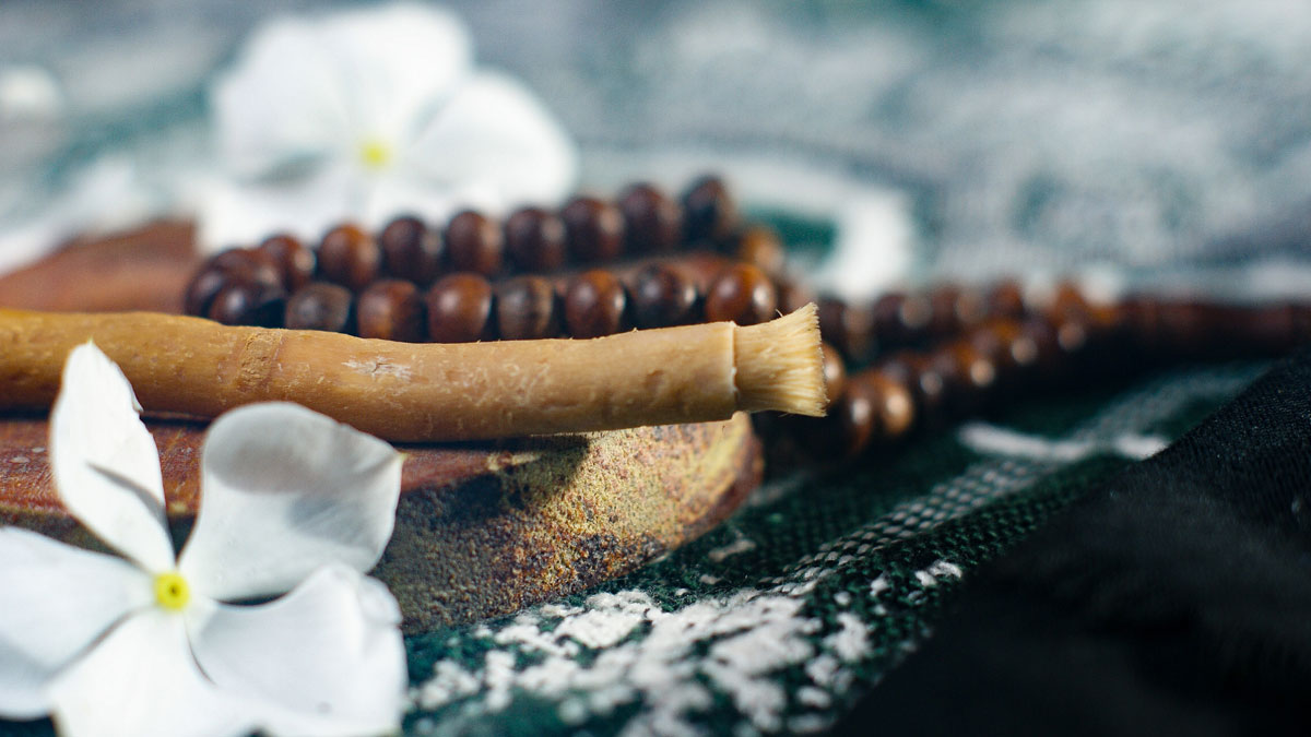 মেসওয়াক করার নিয়ম