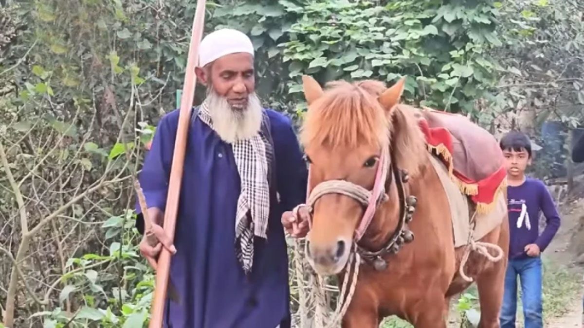 ৩ হাজার কবর খোঁড়া শয্যাশায়ী মনু মিয়ার ঘোড়াটি মারল কারা?
