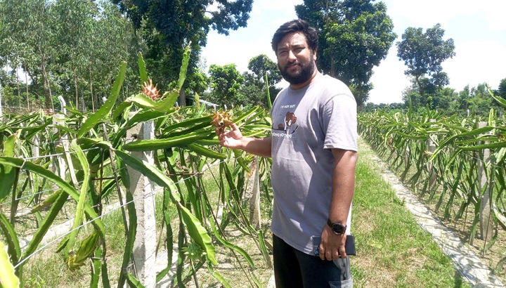 চাকরি ছেড়ে ড্রাগন চাষে হাসি অভিকের