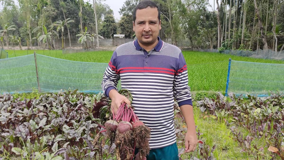 সুপারফুড বিটরুট চাষে খুলেছে সম্ভাবনার দুয়ার