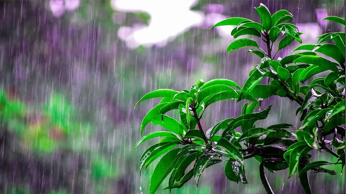 বৃষ্টি নিয়ে বড় সুখবর 