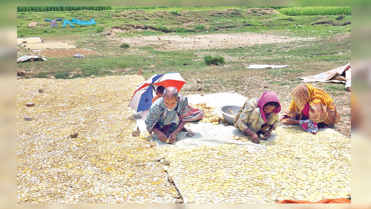 চিপস তৈরি করে স্বাবলম্বী যে গ্রাম