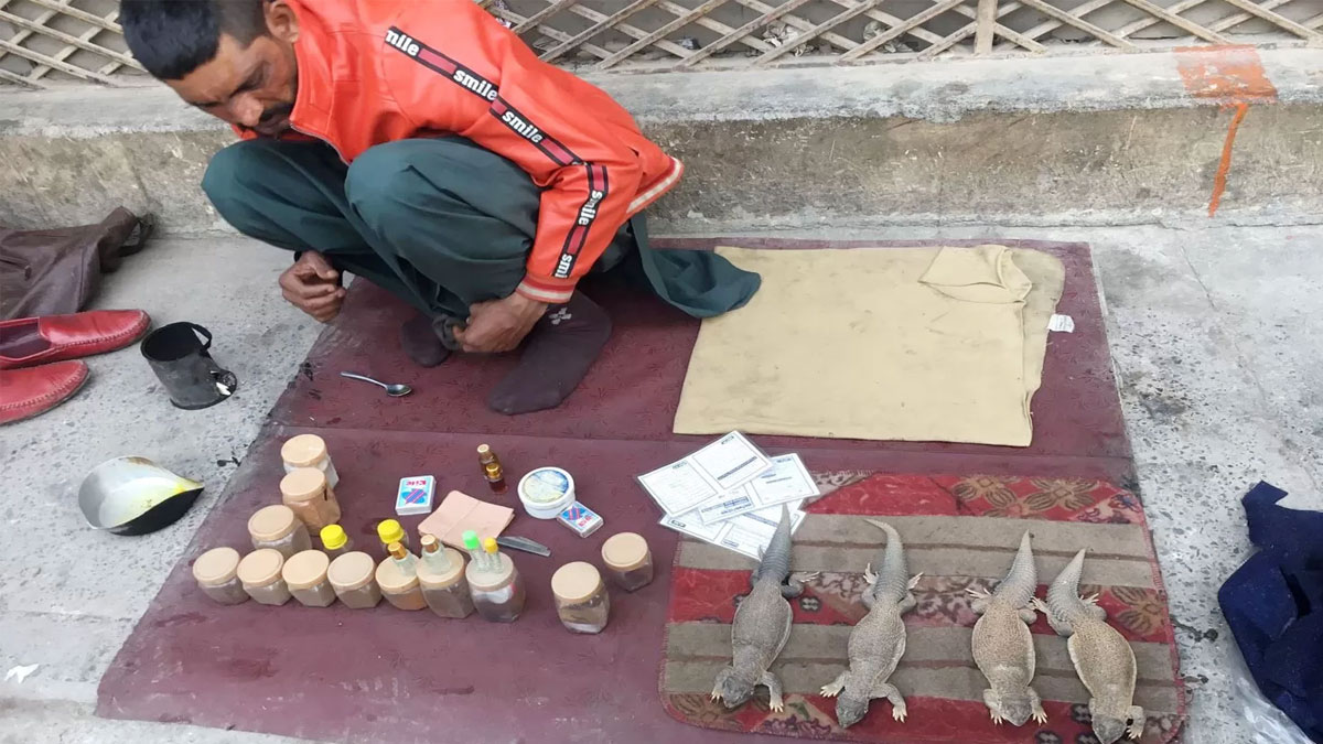 সান্ডার তেল কী সত্যি যৌন দুর্বলতা দূর করে?