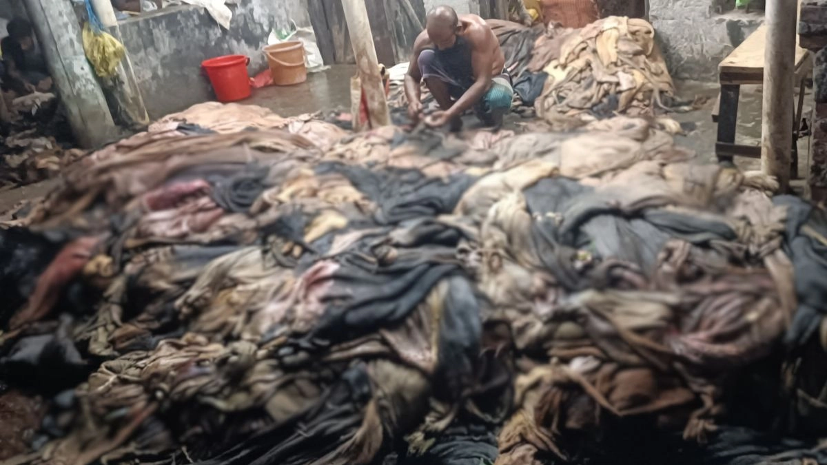 সাতক্ষীরায় চামড়া কিনে জমিয়েছেন ব্যবসায়ী। ছবি-রূপালী বাংলাদেশ