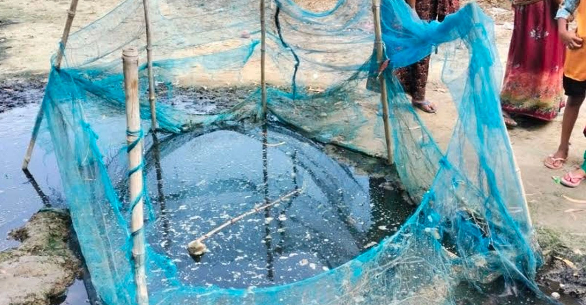 ছবি- সংগৃহীত