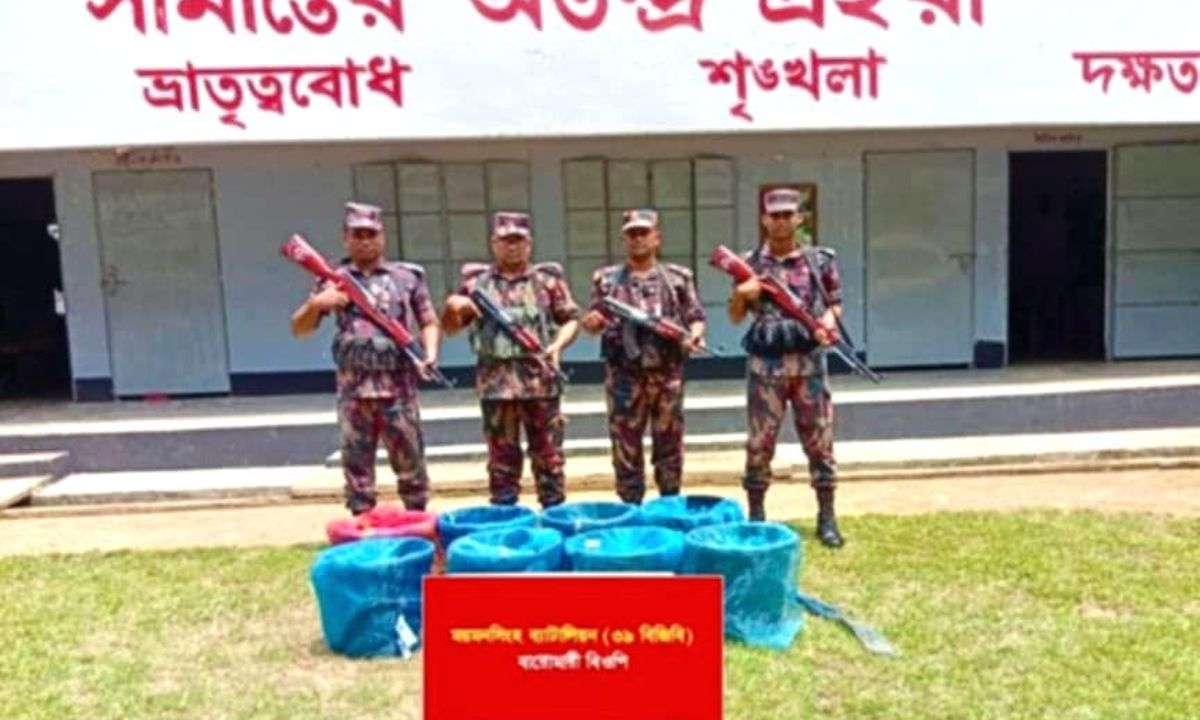 ভারতে পাচারের সময় ৬৩ কেজি বাংলাদেশি শিং মাছ জব্দ করেছে বিজিবি। ছবি- রূপালী বাংলাদেশ