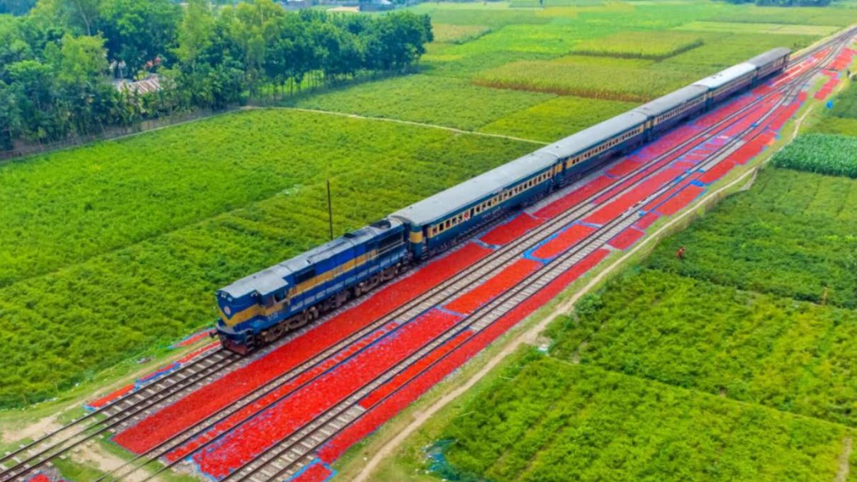 ঠাকুরগাঁওয়ের রুহিয়া রেললাইন। ছবি-সংগৃহীত