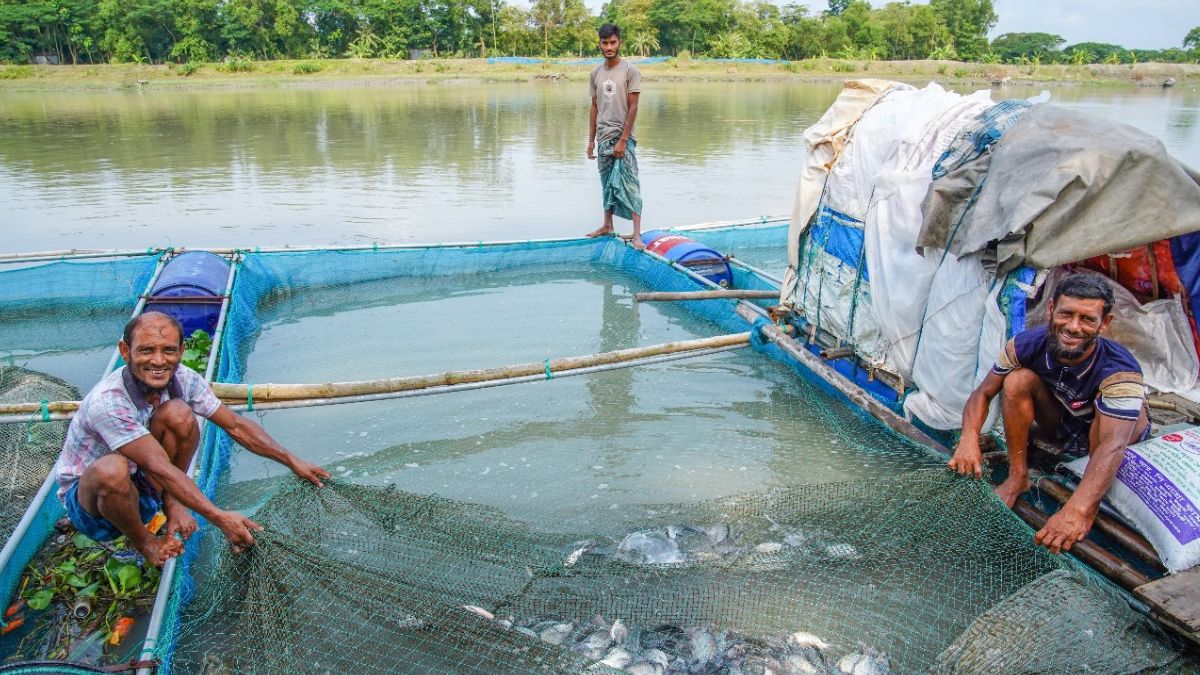 ভাসমান মাছের খামারে বদলে যাচ্ছে উপকূল