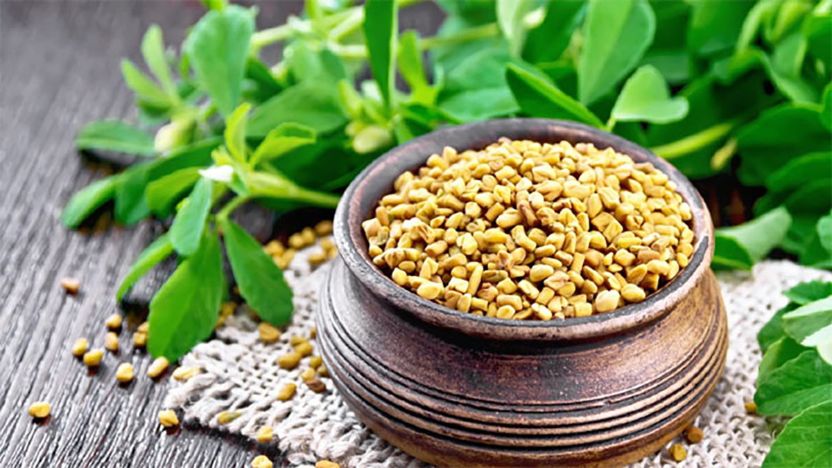 মেথি খাওয়ার উপকারিতা ও অপকারিতা