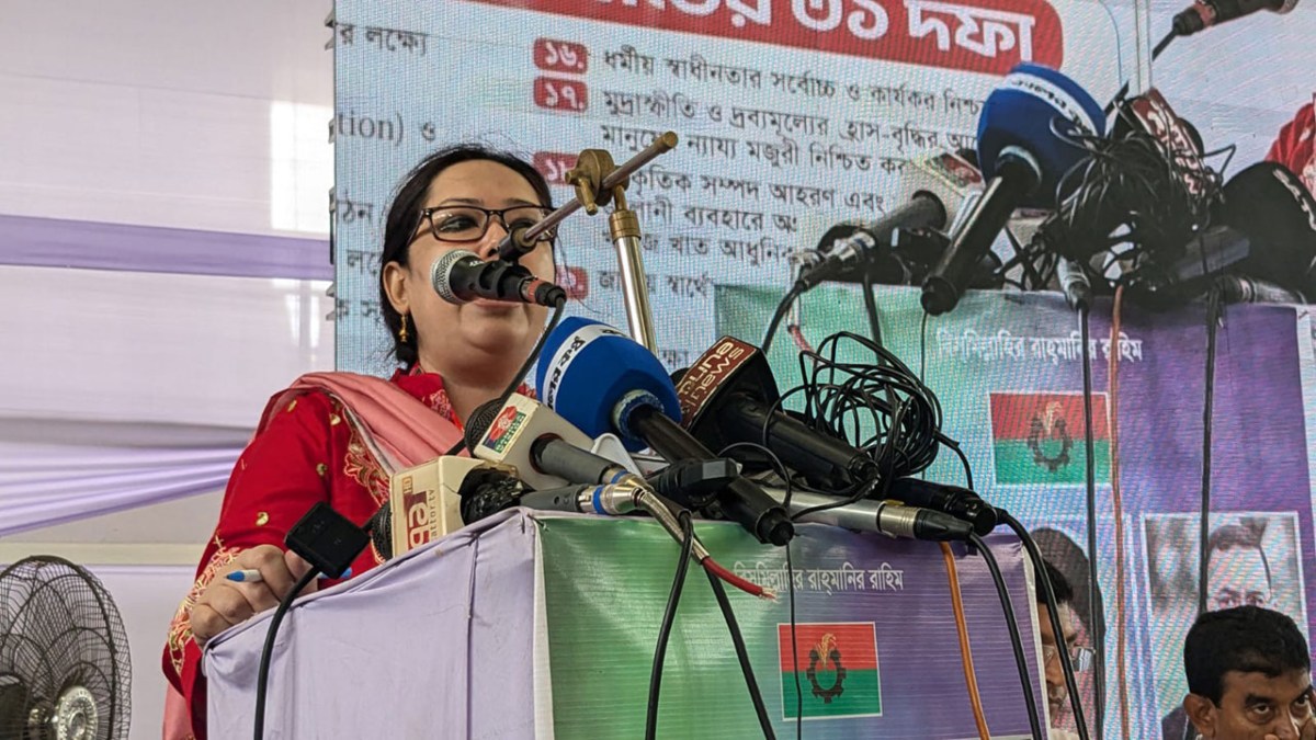 কোনো অভ্যুত্থান ৩৬ দিনে হয় না: রুমিন ফারহানা
