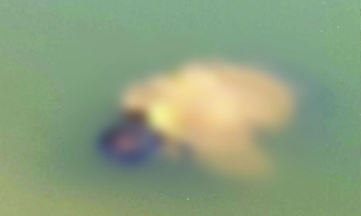 গড়াই নদী থেকে অজ্ঞাত ব্যক্তির  ভাসমান মরদেহ উদ্ধার। ছবি : রূপালী বাংলাদেশ