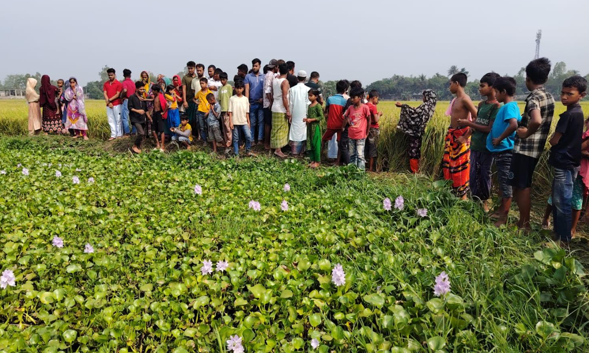 শিশুর অর্ধগলিত মরদেহ দেখতে উৎসুক জনতার ভিড়। ছবি : রূপালী বাংলাদেশ