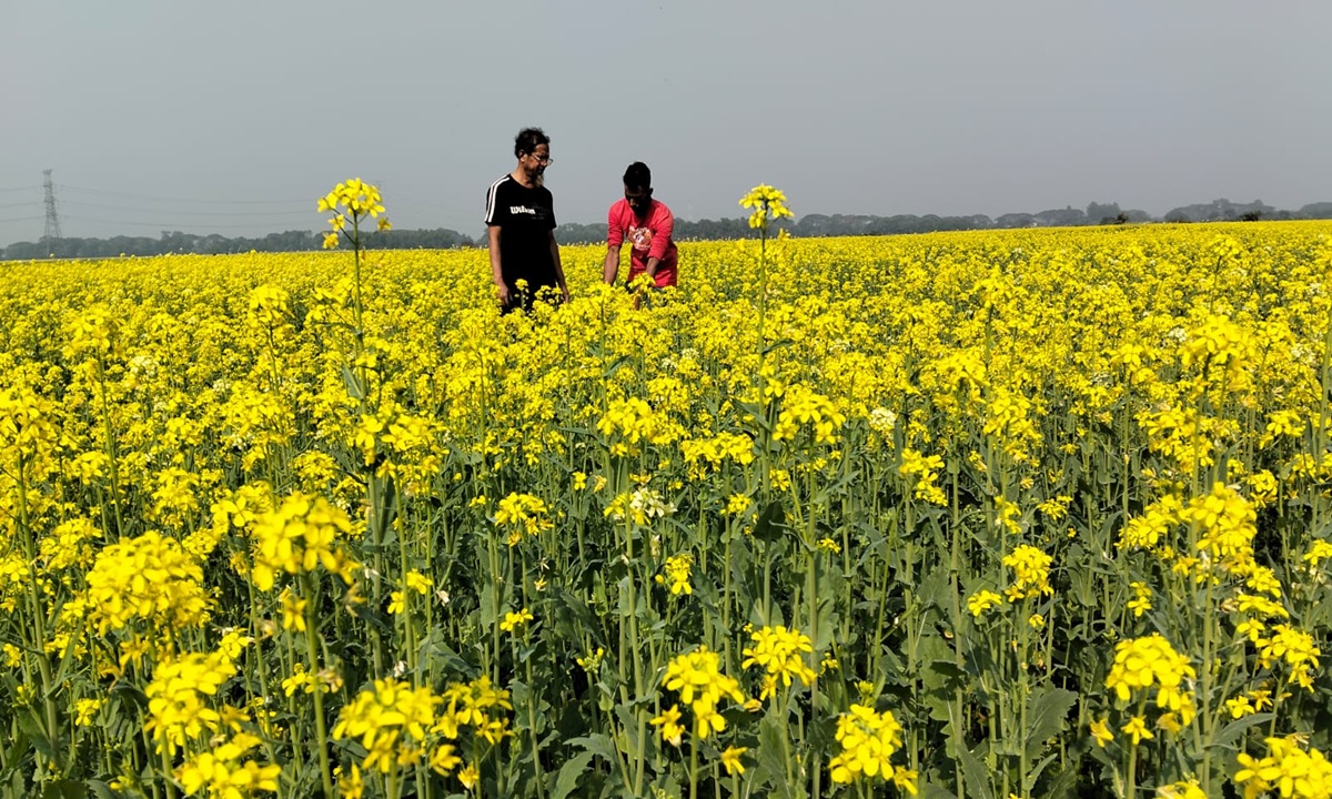 ছবি- রূপালী বাংলাদেশ।