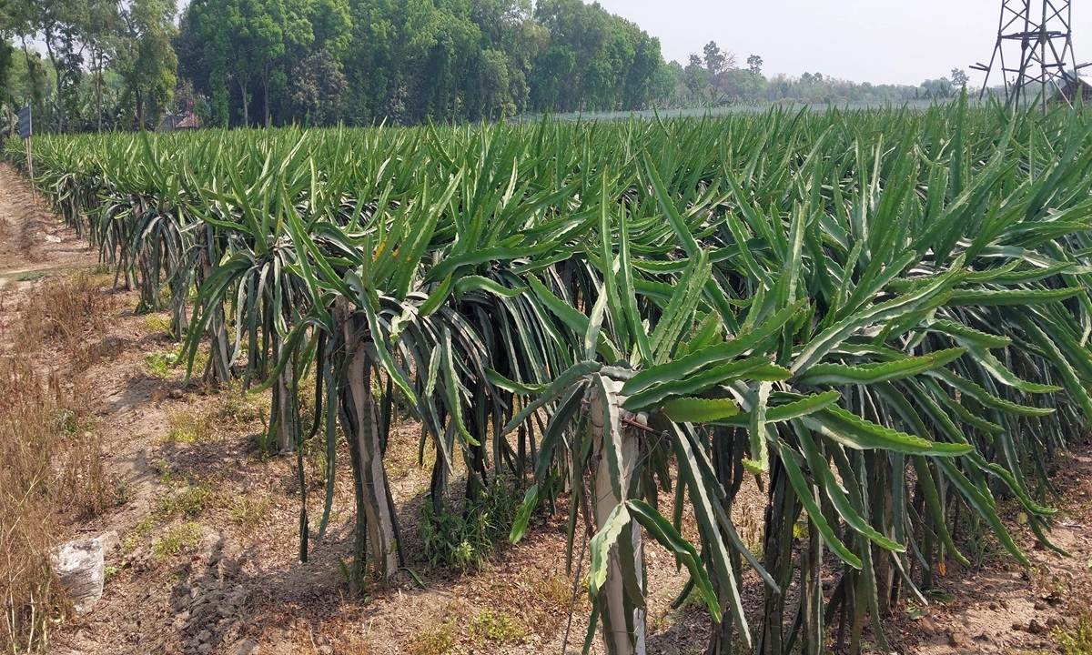 ছবি : রূপালী বাংলাদেশ