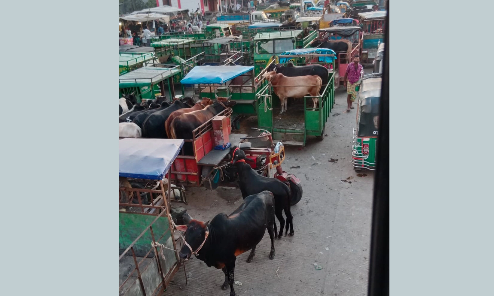 ছবি- সংগৃহীত