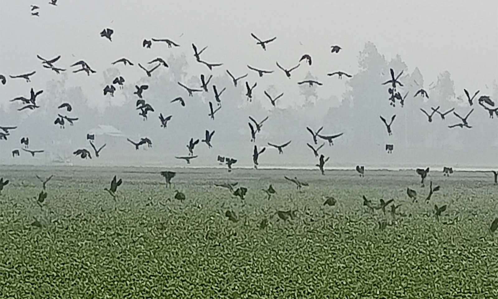 ছবি : রূপালী বাংলাদেশ