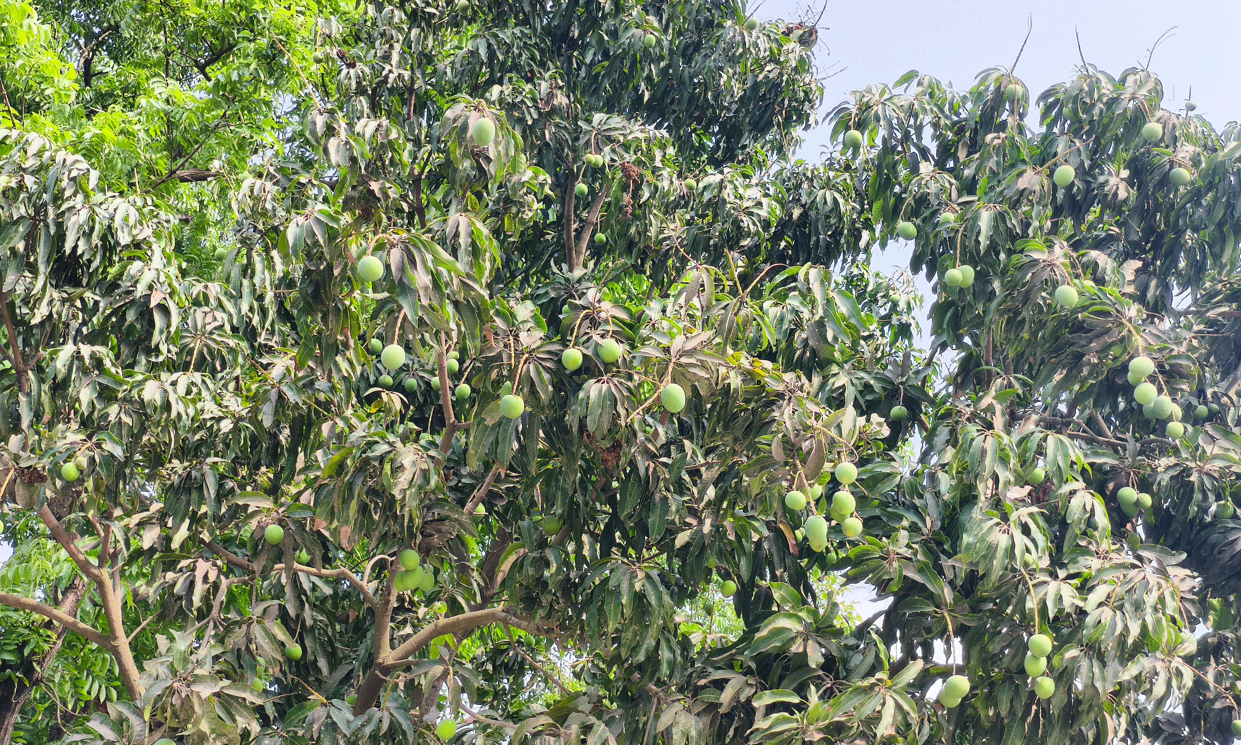 ছবি : রূপালী বাংলাদেশ
