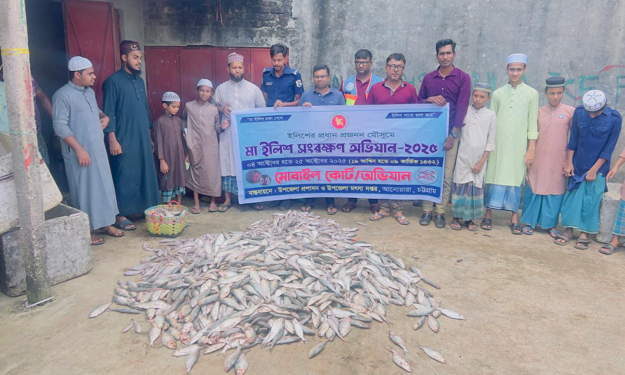 আনোয়ারায় ২১৫ কেজি ইলিশ জব্দ, ৮ জেলে কারাগারে। ছবি- রূপালী বাংলাদেশ
