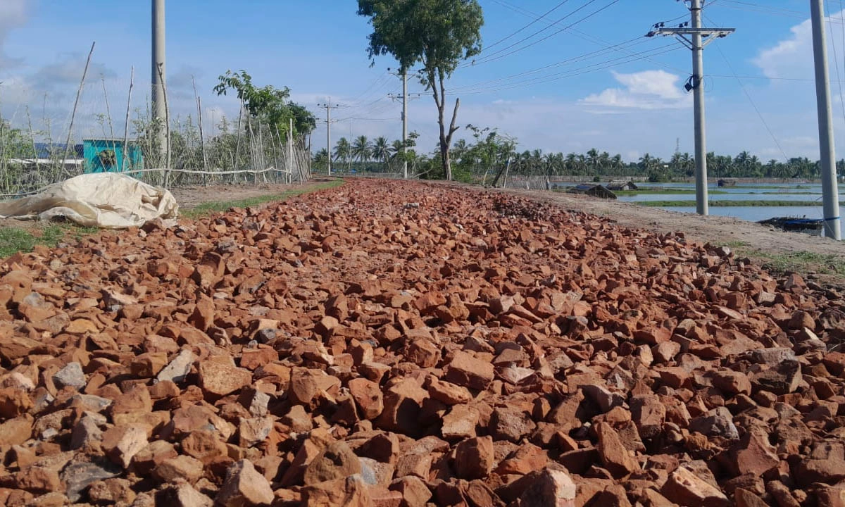 ছবি- রূপালী বাংলাদেশ