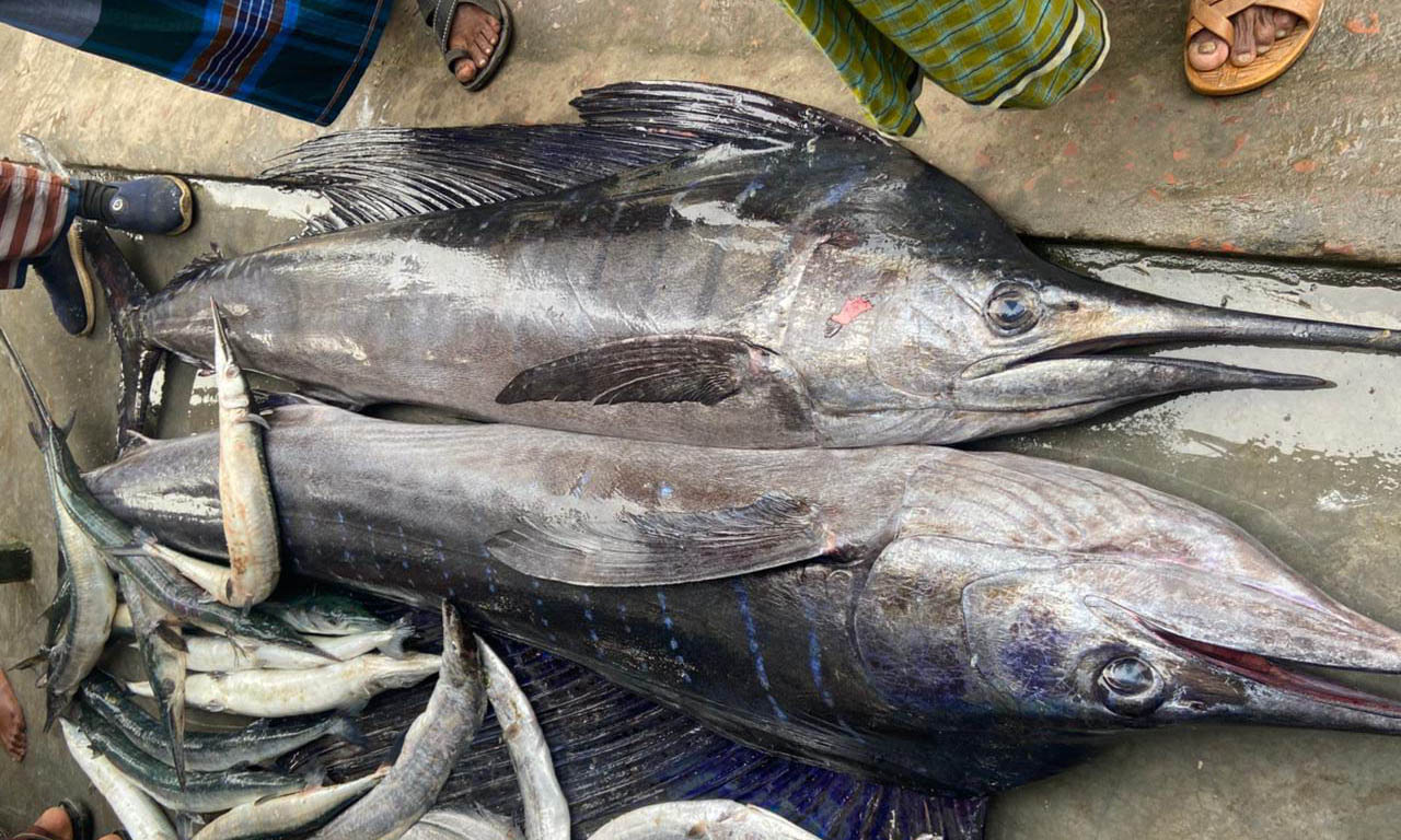 ছবি : রূপালী বাংলাদেশ