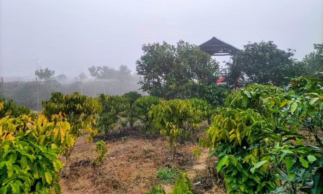 ছবি : রূপালী বাংলাদেশ