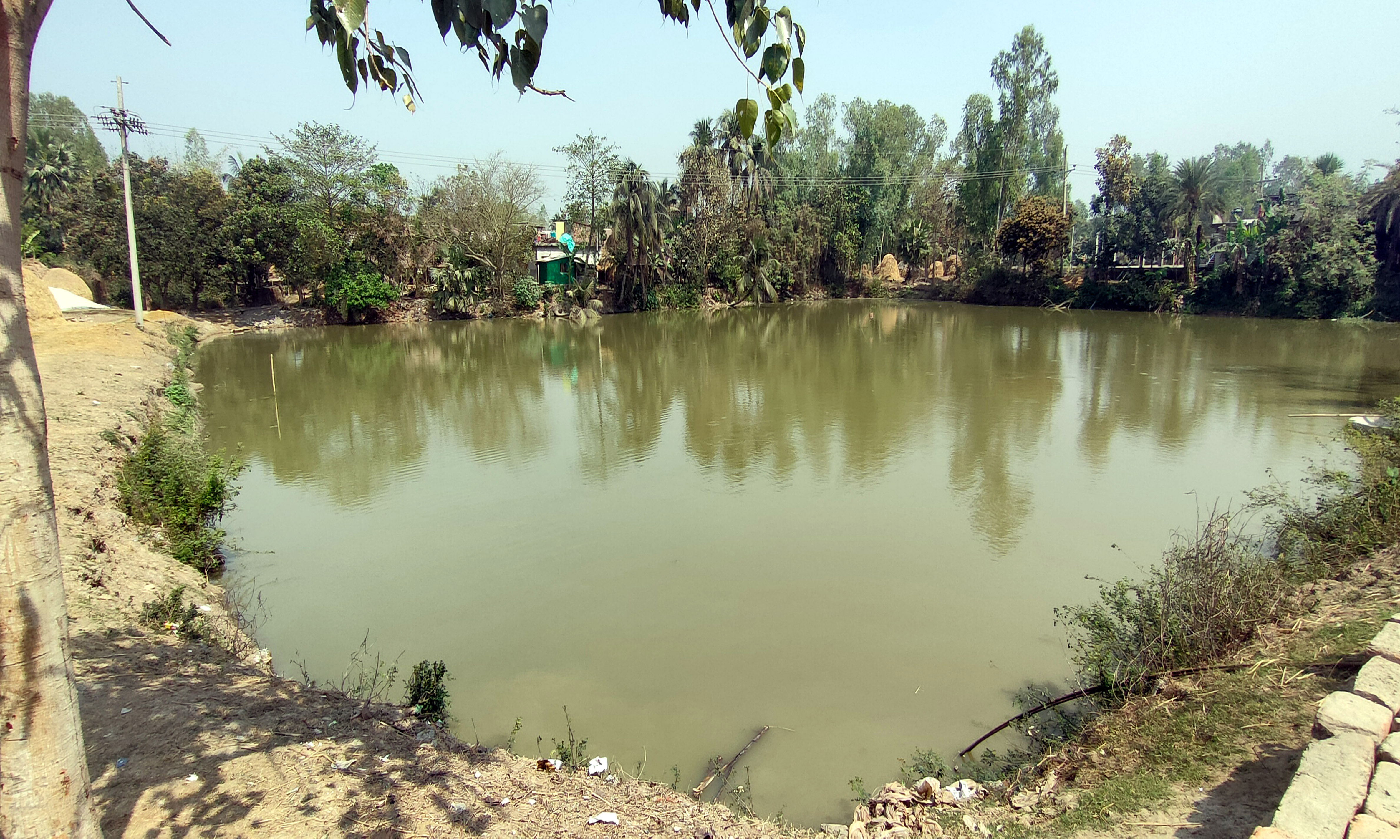 অবৈধ ইজারা আর মিথ্যা মামলার ফাঁদে সরকারি পুকুর। ছবি : রূপালী বাংলাদেশ