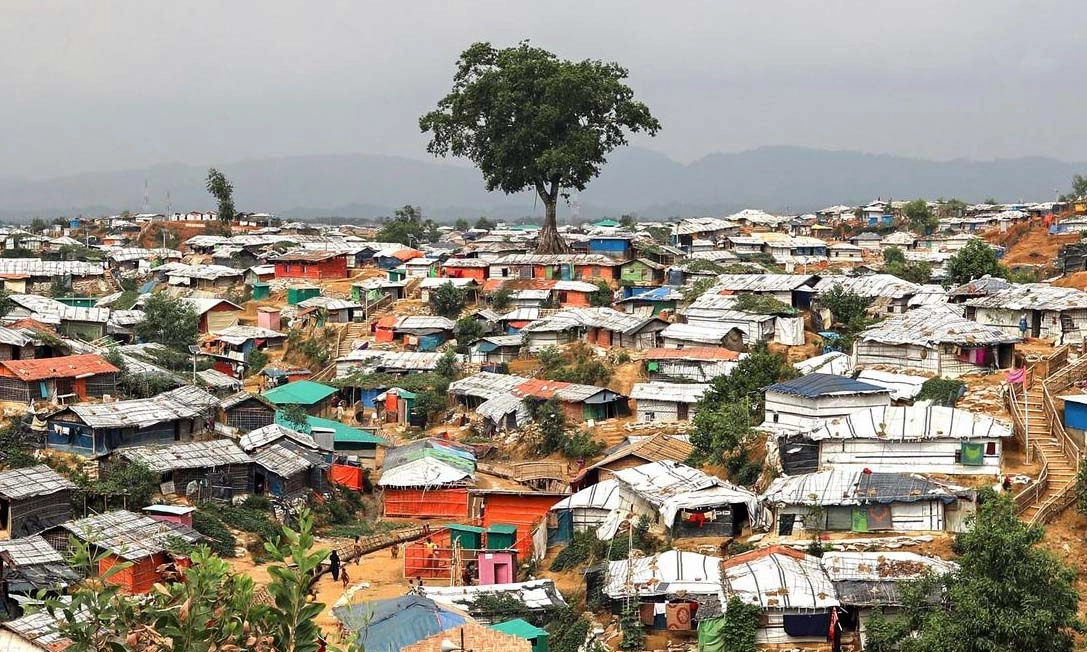 ছবি- সংগৃহীত