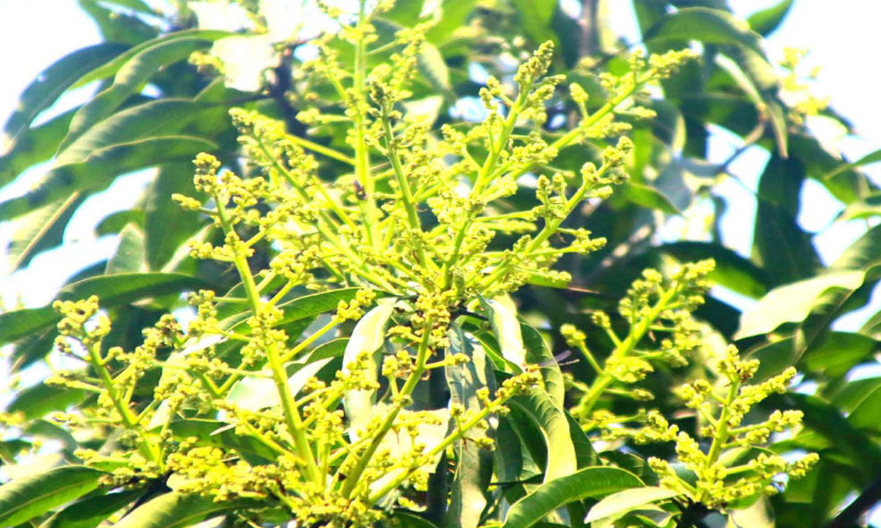 ছবি : রূপালী বাংলাদেশ