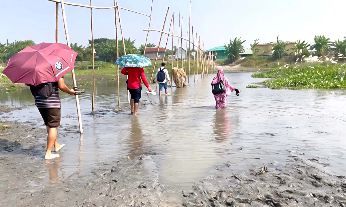 এভাবেই পানি-কাদা মাড়িয়ে শিক্ষার আলো জ্বালাতে যান তারা। ছবি- রূপালী বাংলাদেশ