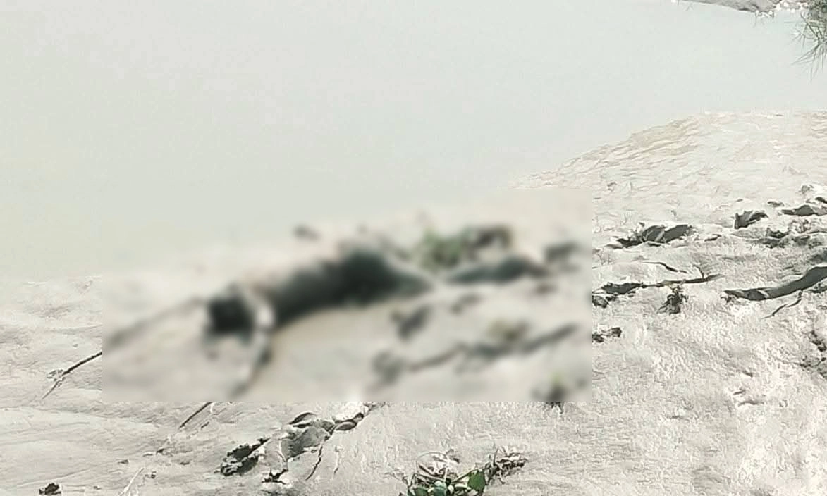 ছবি- রূপালী বাংলাদেশ