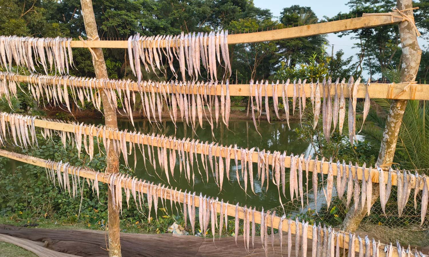 ছবি- রূপালী বাংলাদেশ