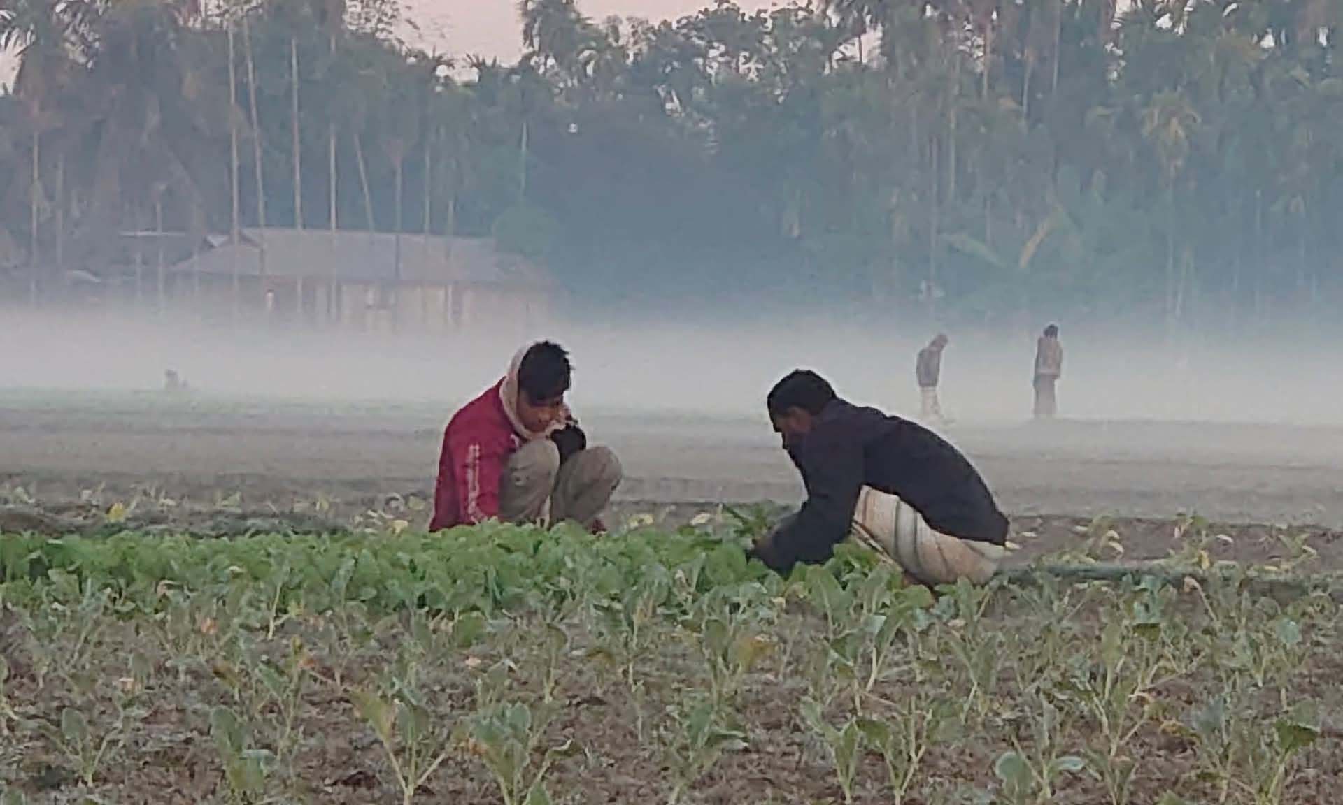 ছবি- রূপালী বাংলাদেশ