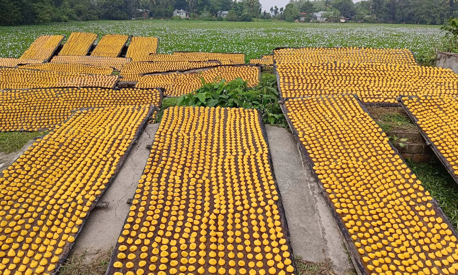 ছবি- রূপালী বাংলাদেশ