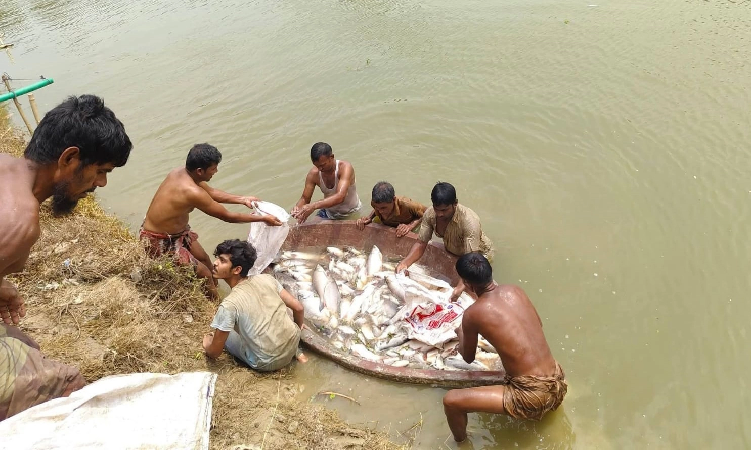 ছবি : রূপালী বাংলাদেশ