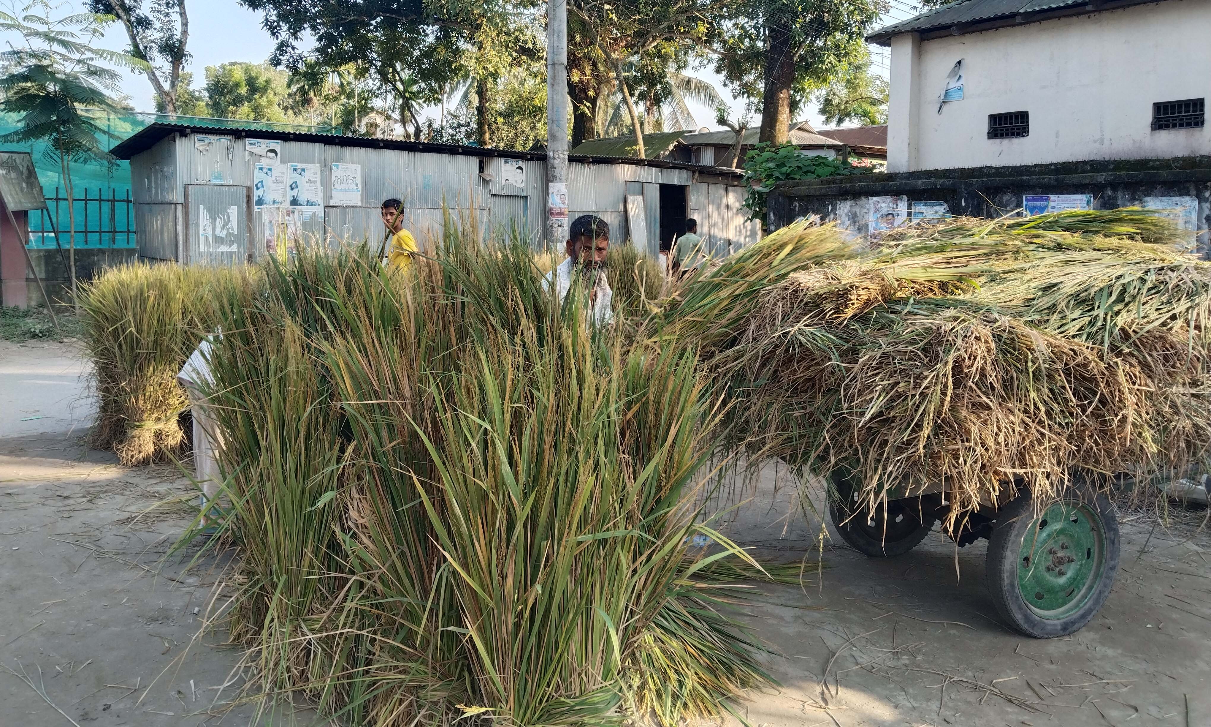 ছবি- রূপালী বাংলাদেশ