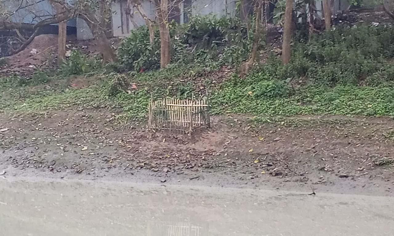ছবি : রূপালী বাংলাদেশ