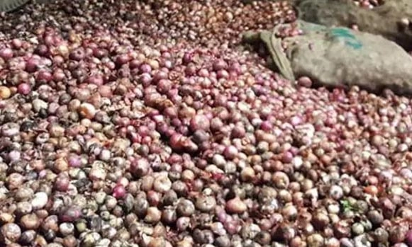 ছবি- সংগৃহীত