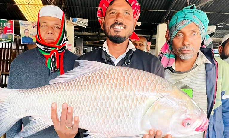 ছবি- রূপালী বাংলাদেশ