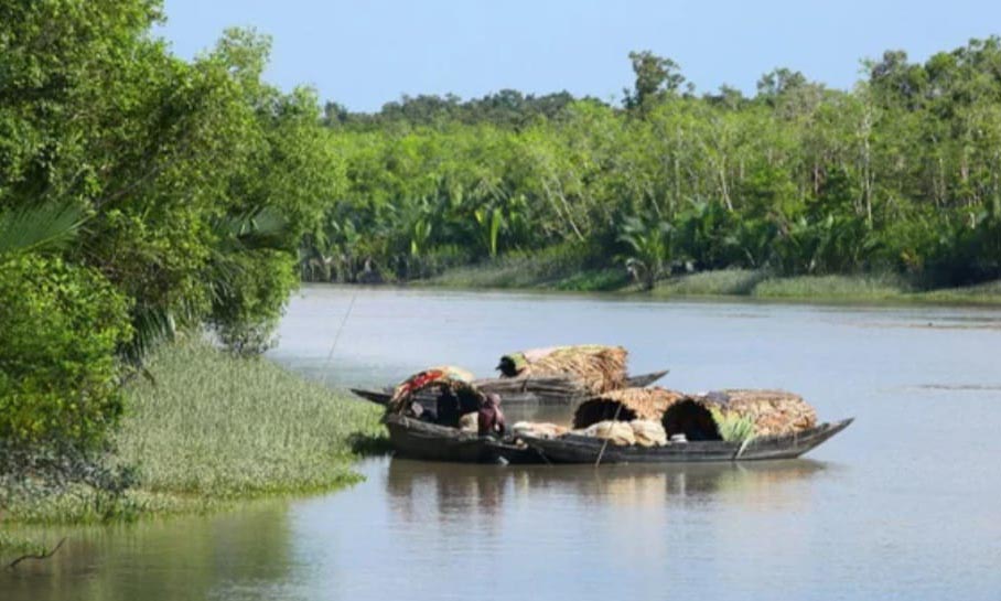 প্রতীকী ছবি